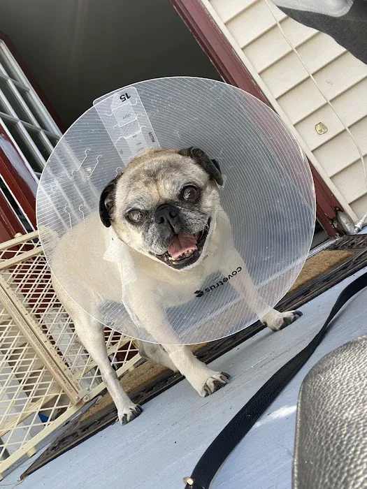 Harmony Animal Hospital Picture 4