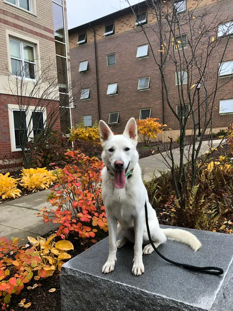 Harmony Animal Hospital Picture 7