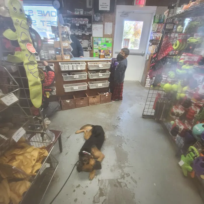 One Stop Pet Shop Picture 3