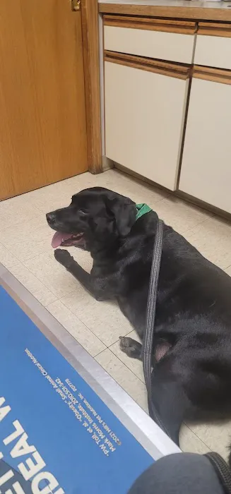 Easton Animal Hospital Picture 6