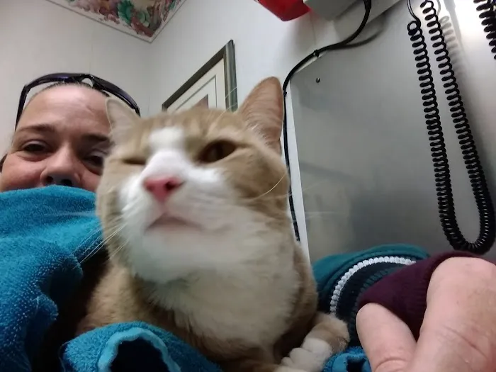 Easton Animal Hospital Picture 7
