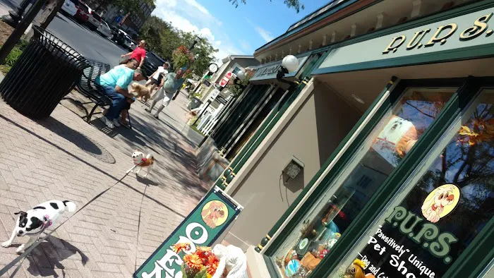P.U.P.S. of Lewes Picture 1