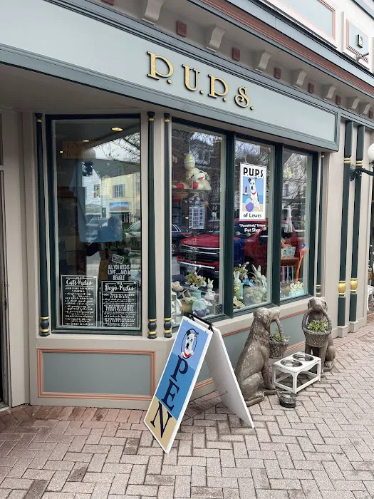 P.U.P.S. of Lewes Picture 7