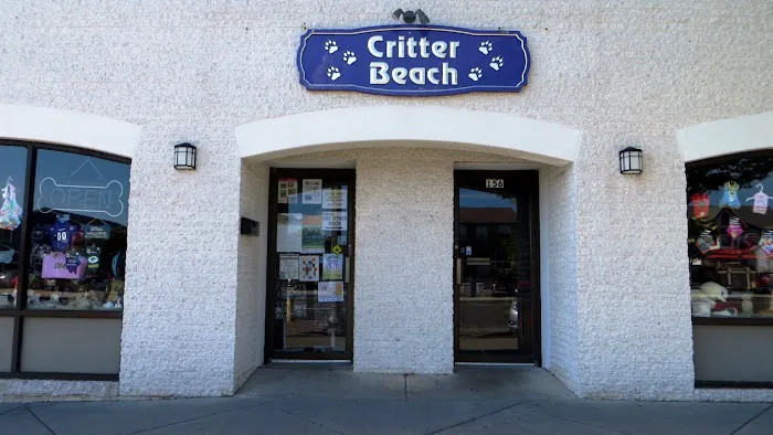 Critter Beach Picture 1
