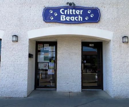 Critter Beach