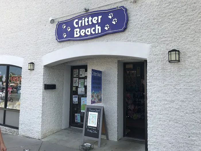 Critter Beach Picture 7