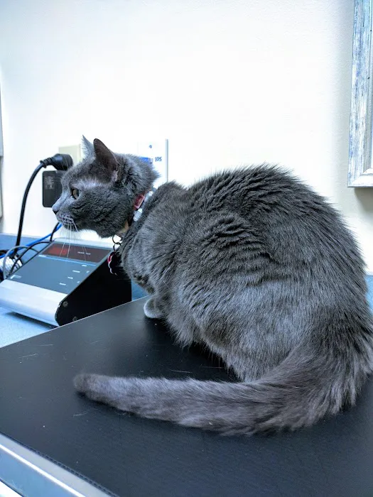 Thoreau Veterinary Hospital Picture 1