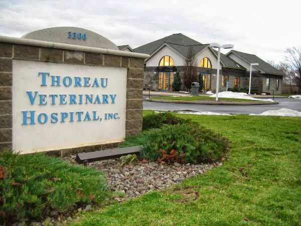Thoreau Veterinary Hospital Picture 6