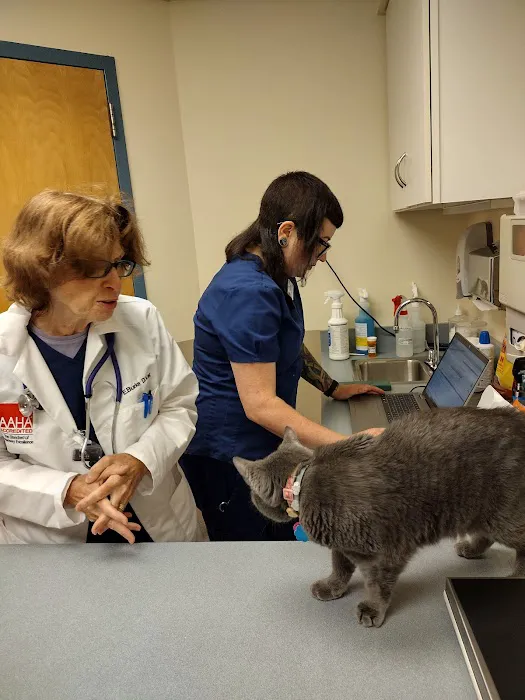 Thoreau Veterinary Hospital Picture 8