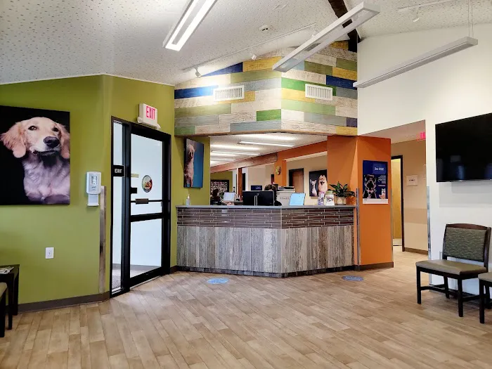 VCA Northside Animal Hospital Picture 3