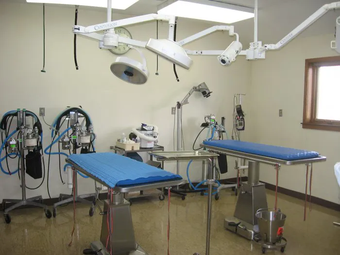 VCA Northside Animal Hospital Picture 10