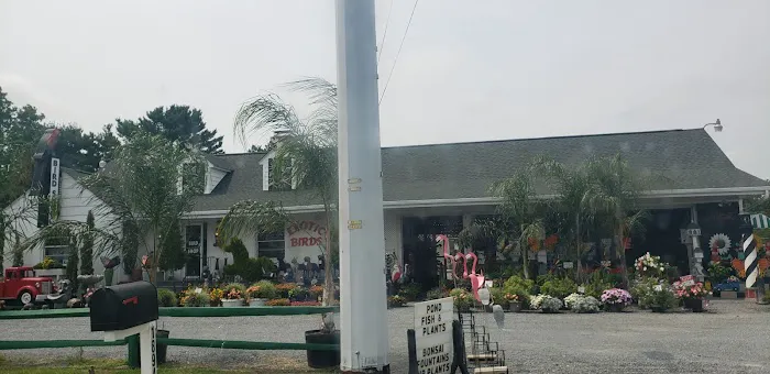 Farmer Girl Exotic Gardens Picture 9