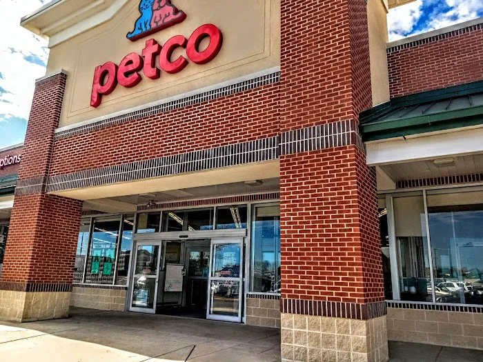 Petco Picture 8