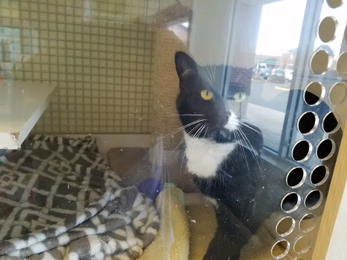 Petco Picture 9