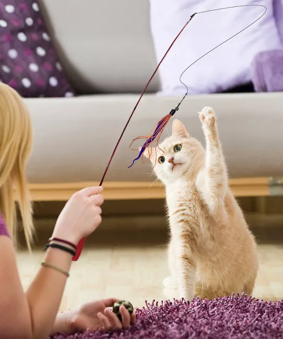 Jeri's Pet Pampering Picture 3