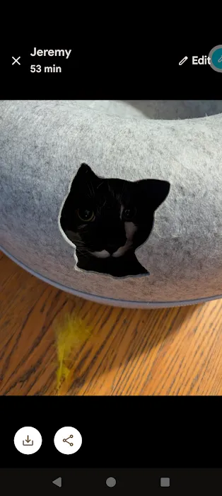 Cattasaurus Picture 9