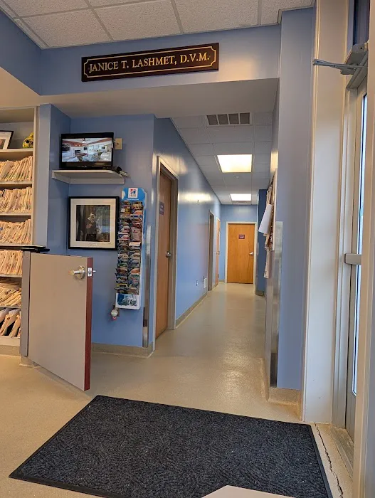 Nazareth Veterinary Center Picture 7