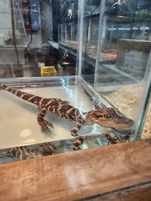 Pet World Picture 1