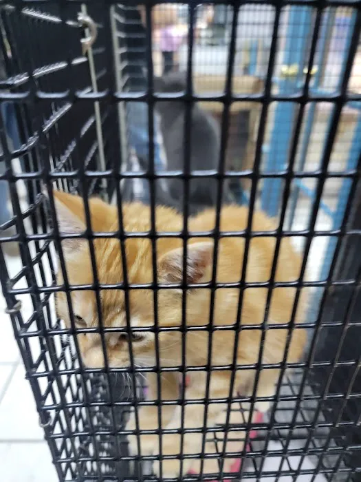 Pet World Picture 3