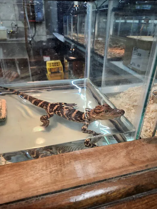 Pet World Picture 6