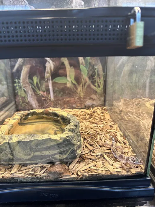 Pet World Picture 7