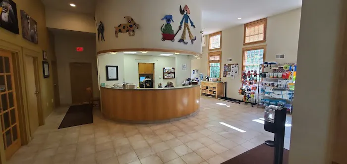South Branch Veterinary Services Picture 2