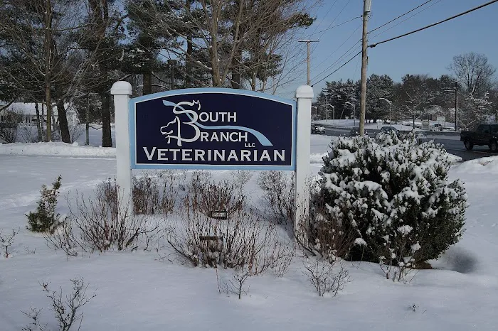 South Branch Veterinary Services Picture 4