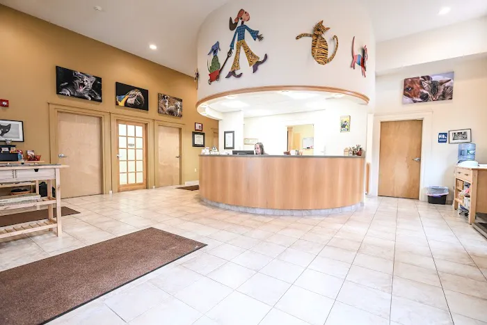 South Branch Veterinary Services Picture 8