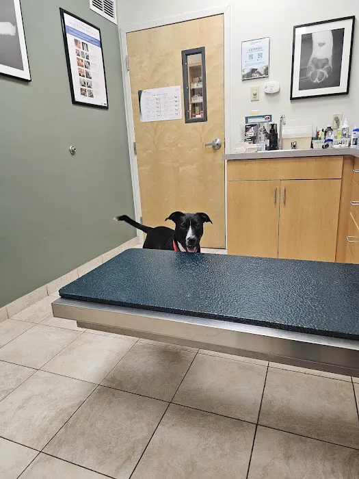 South Branch Veterinary Services Picture 9