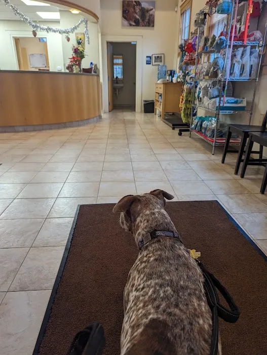 South Branch Veterinary Services Picture 10