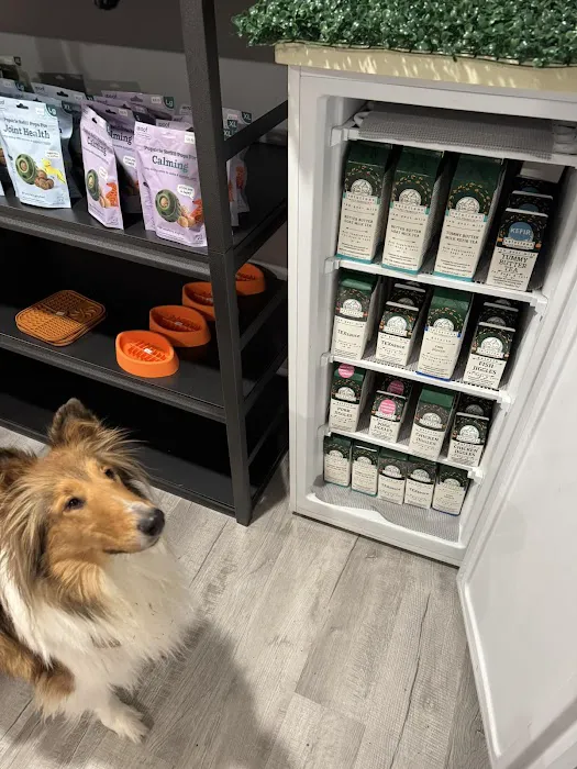 Rough Collie Co. Picture 6