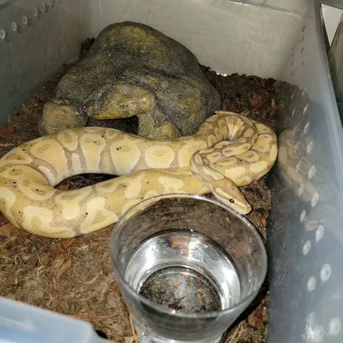 Morph Mafia LLC Picture 6