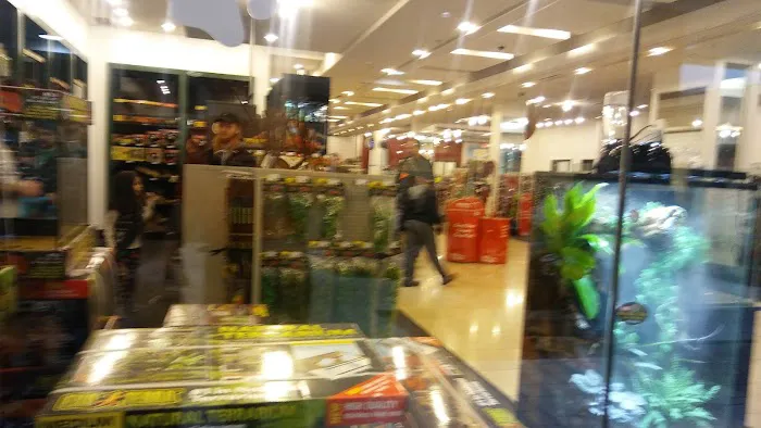 Zoomania Picture 4