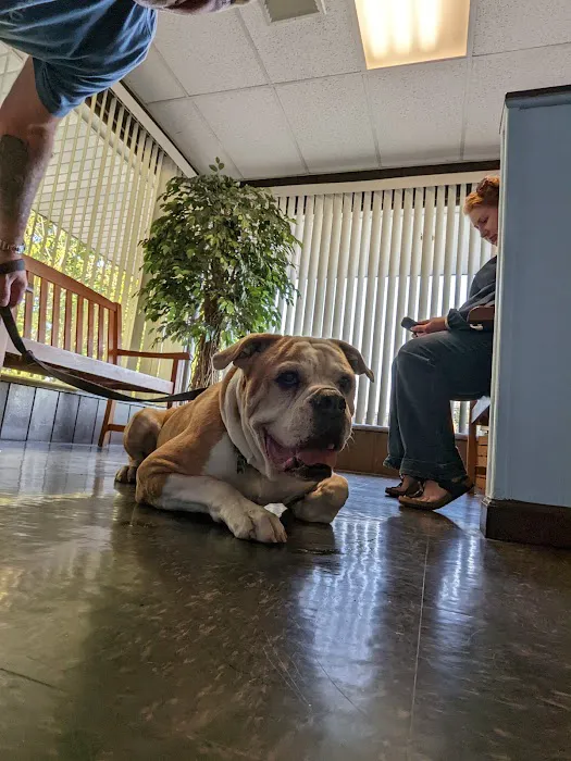 Round Valley Animal Hospital Picture 4