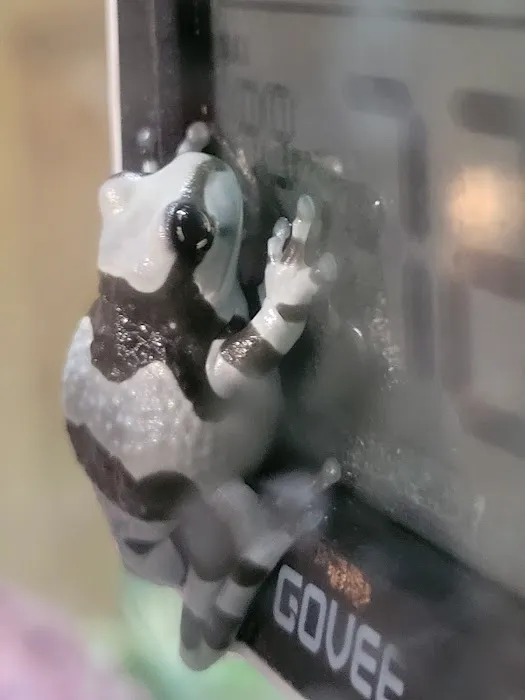 CRAZY FROG LADY L.L.C. Picture 7