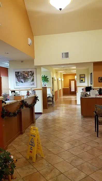 Crown Veterinary Specialists Picture 4