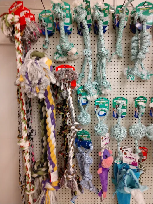 Blue Dog Pet Shop Picture 5