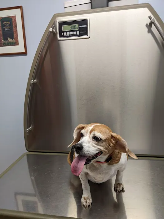 Washington Animal Hospital Picture 1