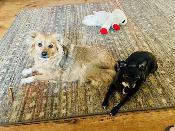 Washington Animal Hospital Picture 6