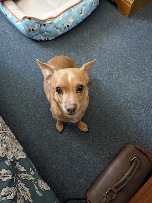 Washington Animal Hospital Picture 7