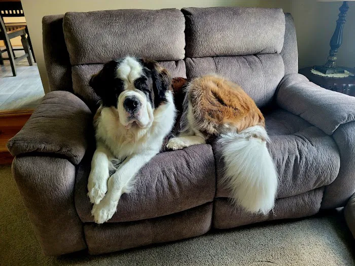 Washington Animal Hospital Picture 8