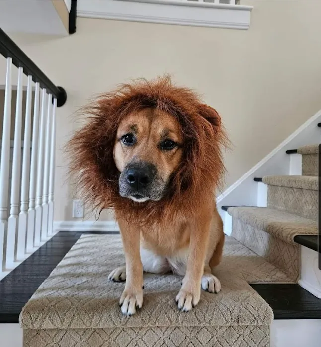 Washington Animal Hospital Picture 10