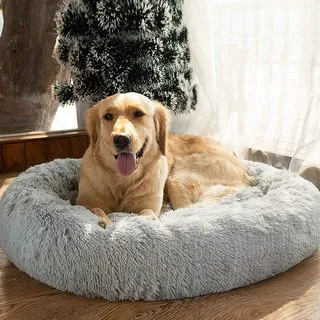 Wag, Nicker, and Purr Boutique Picture 1