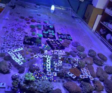 Aquarium Xpress
