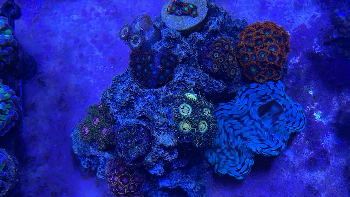 Aquarium Xpress Picture 3