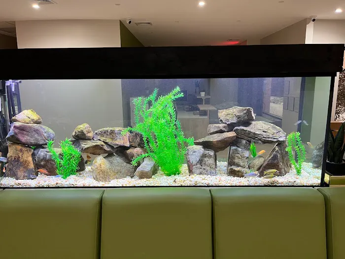 Aquarium Xpress Picture 4
