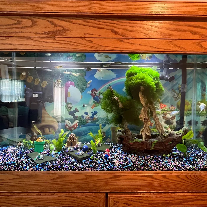 Aquarium Xpress Picture 6