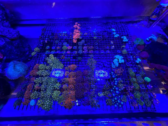 Aquarium Xpress Picture 5