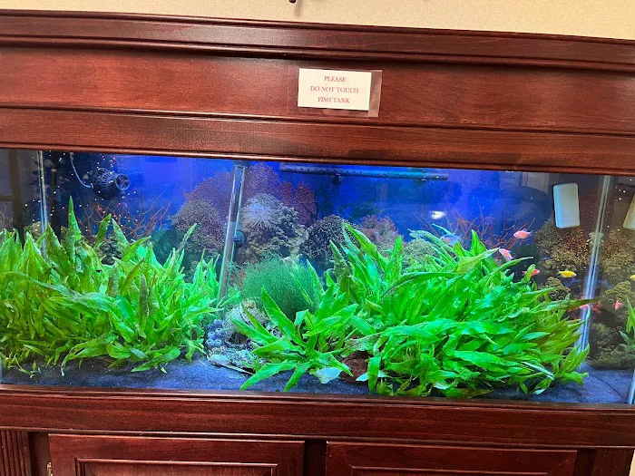 Aquarium Xpress Picture 7