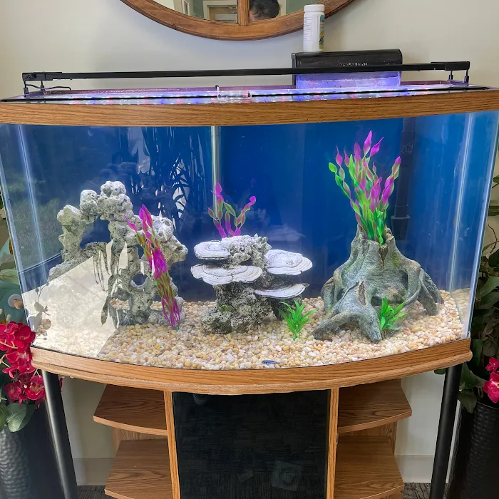 Aquarium Xpress Picture 8